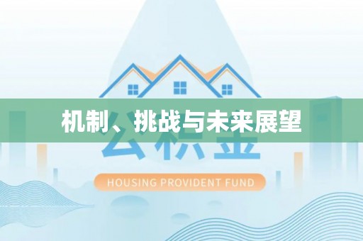 盐埔机制、挑战与未来展望