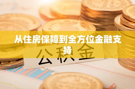 盐埔从住房保障到全方位金融支持