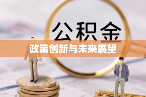 盐埔政策创新与未来展望