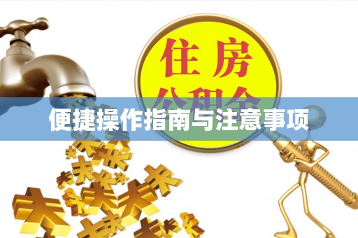 盐埔便捷操作指南与注意事项