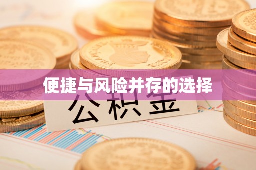 盐埔便捷与风险并存的选择