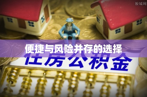 盐埔便捷与风险并存的选择