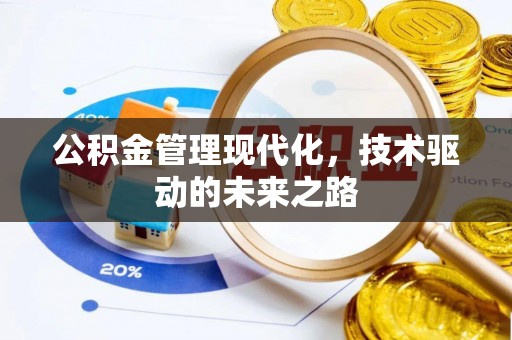 盐埔公积金管理现代化，技术驱动的未来之路
