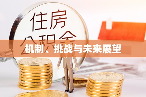 盐埔机制、挑战与未来展望
